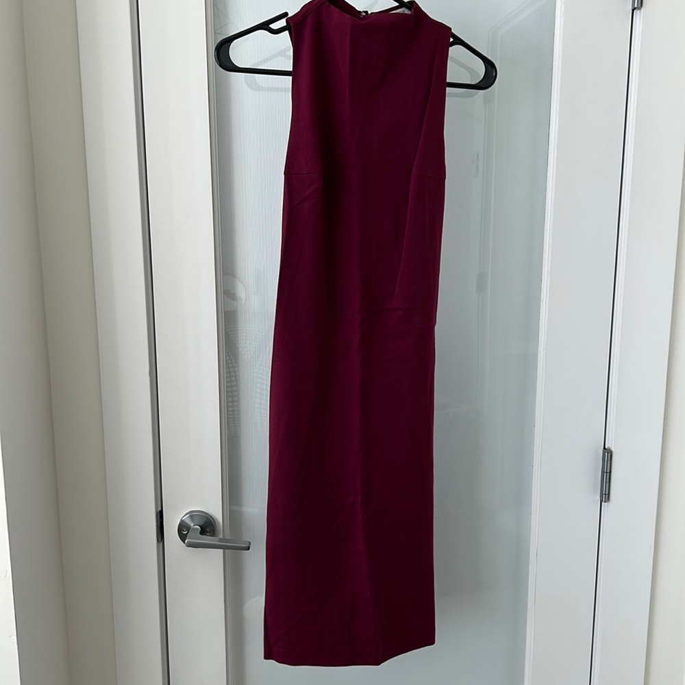 Aritzia Dress